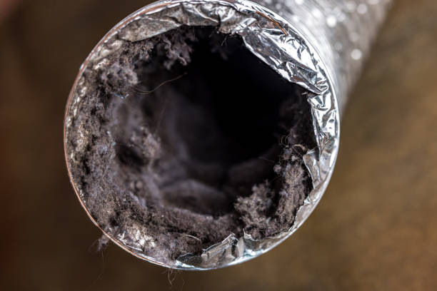 Best Commercial HVAC Duct Cleaning  in Mount Prospect, IL